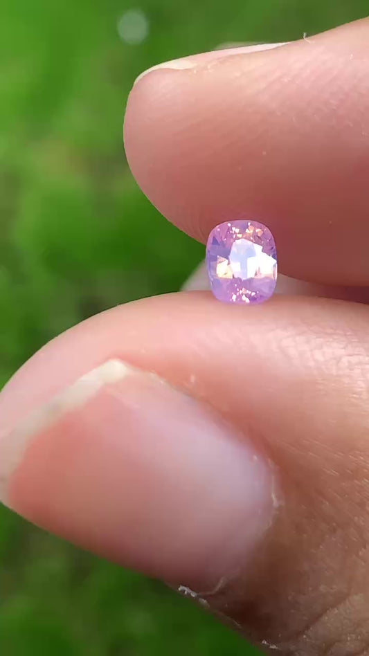 Silky Sapphire VietNam 18082515
