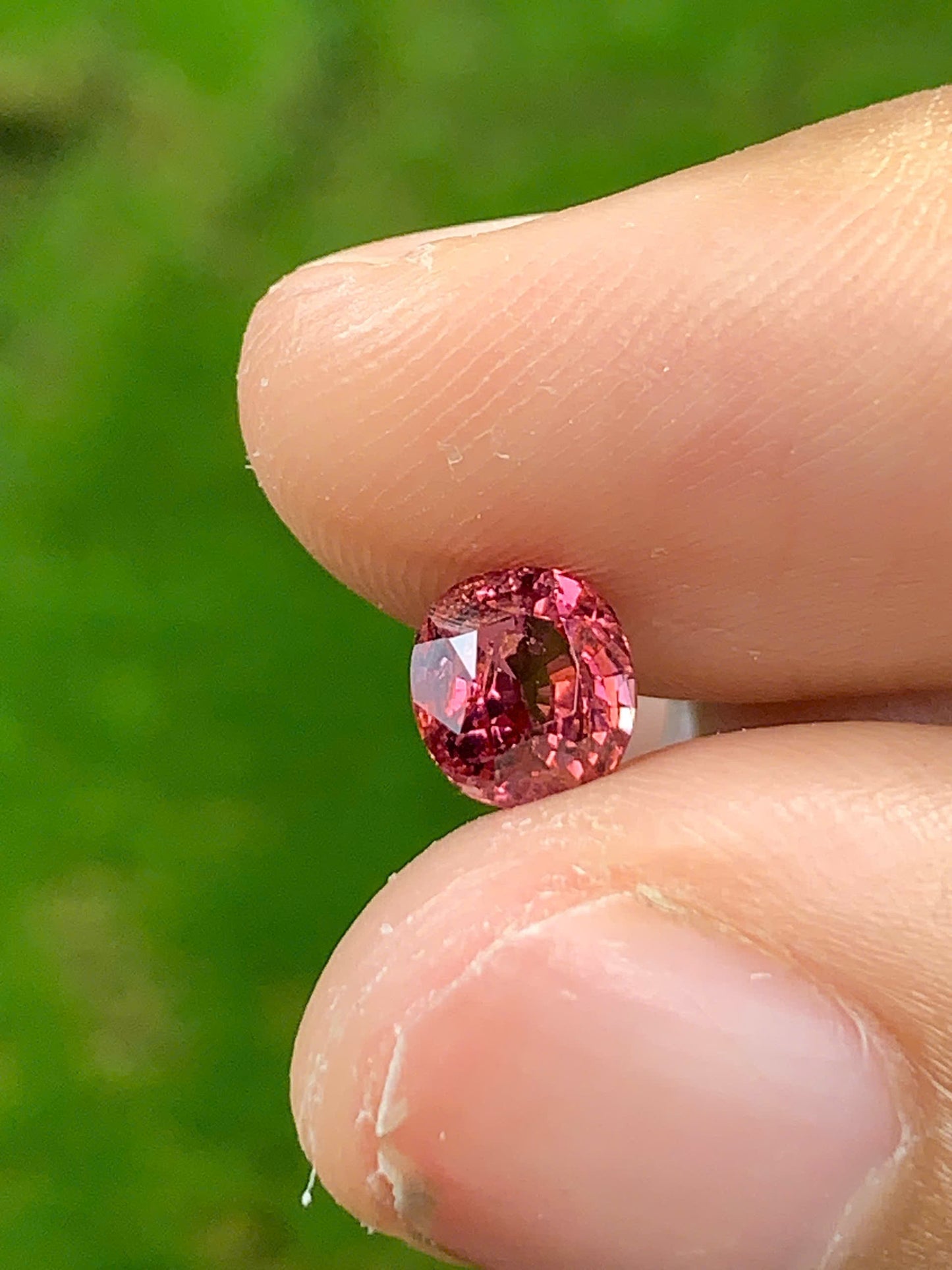 Spinel VietNam 16072533