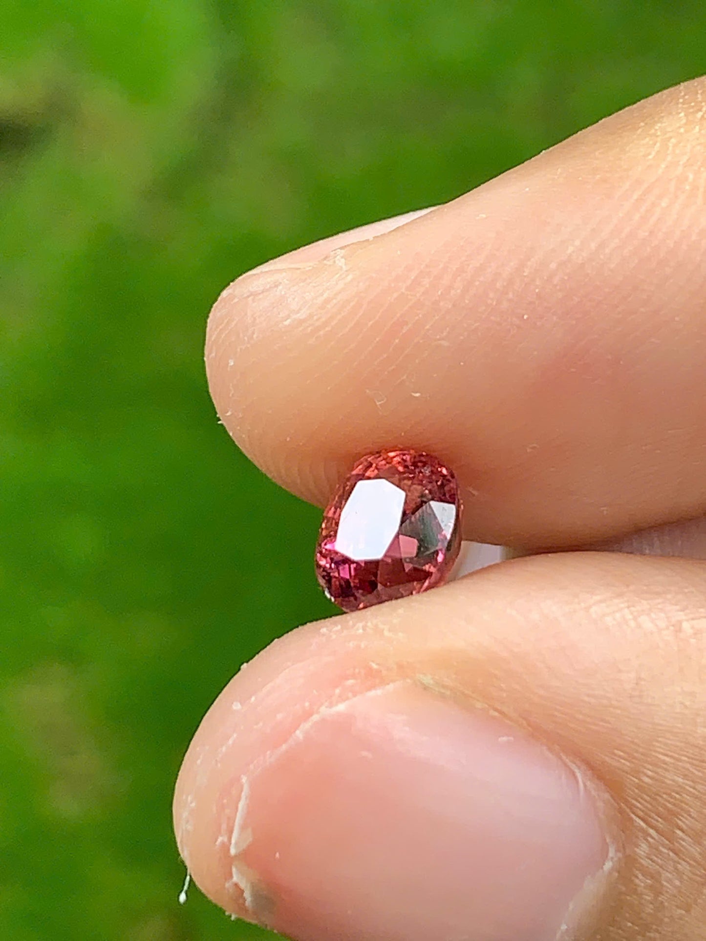 Spinel VietNam 16072533