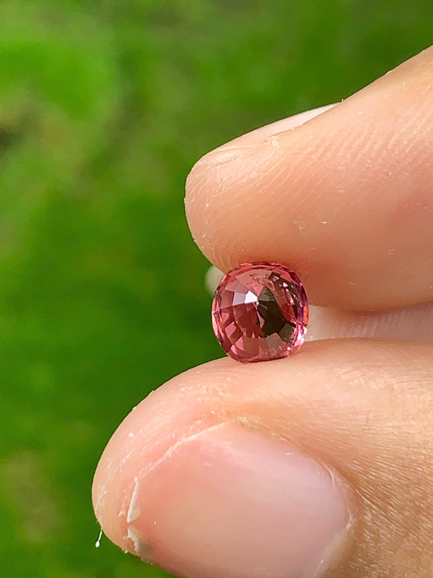 Spinel VietNam 16072533