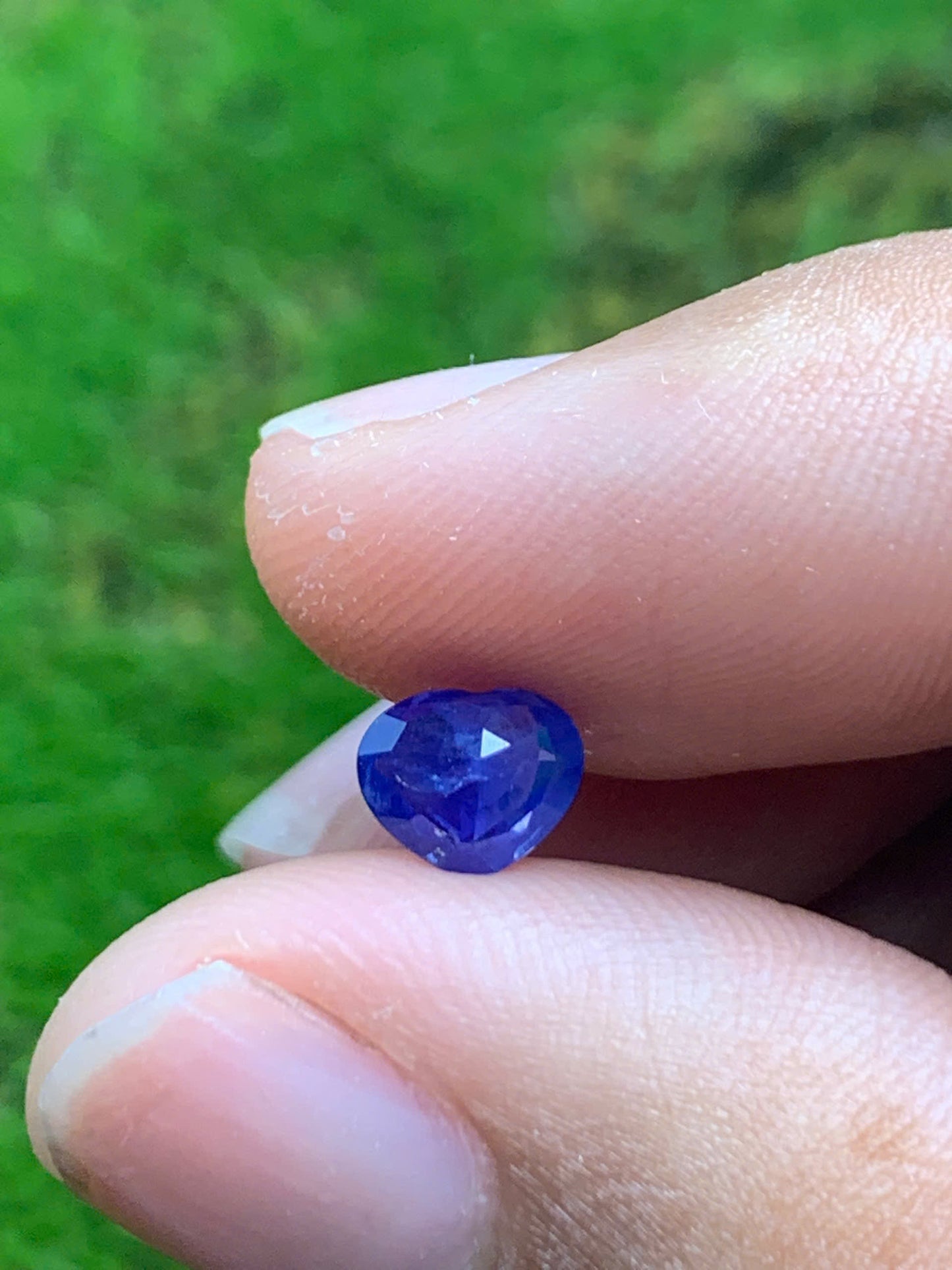 Natural Sapphire VietNam 08082501