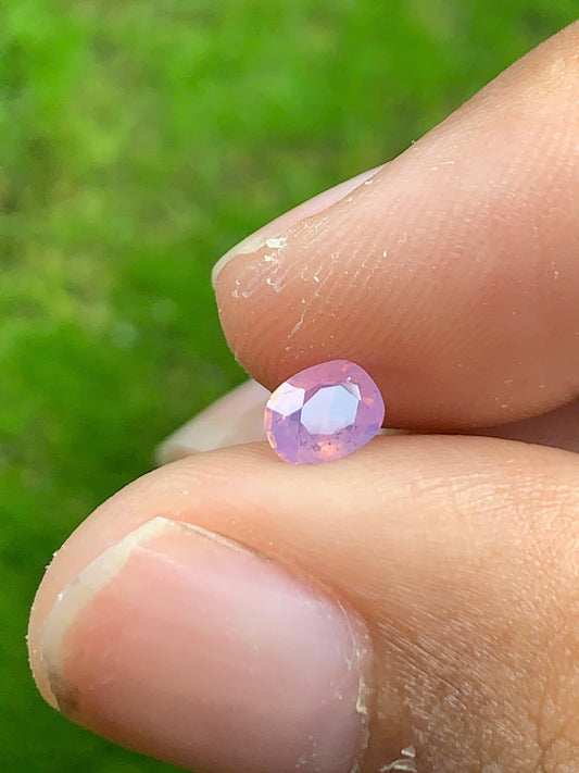 Natural Sapphire VietNam 08082504