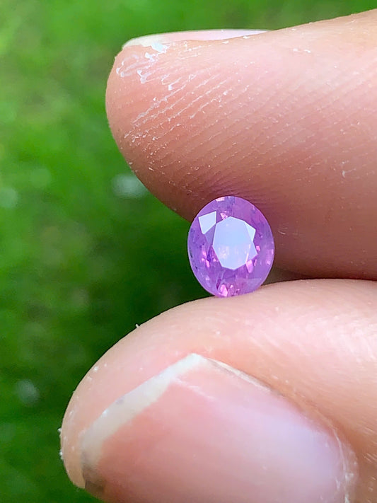 Natural Sapphire VietNam 08082506