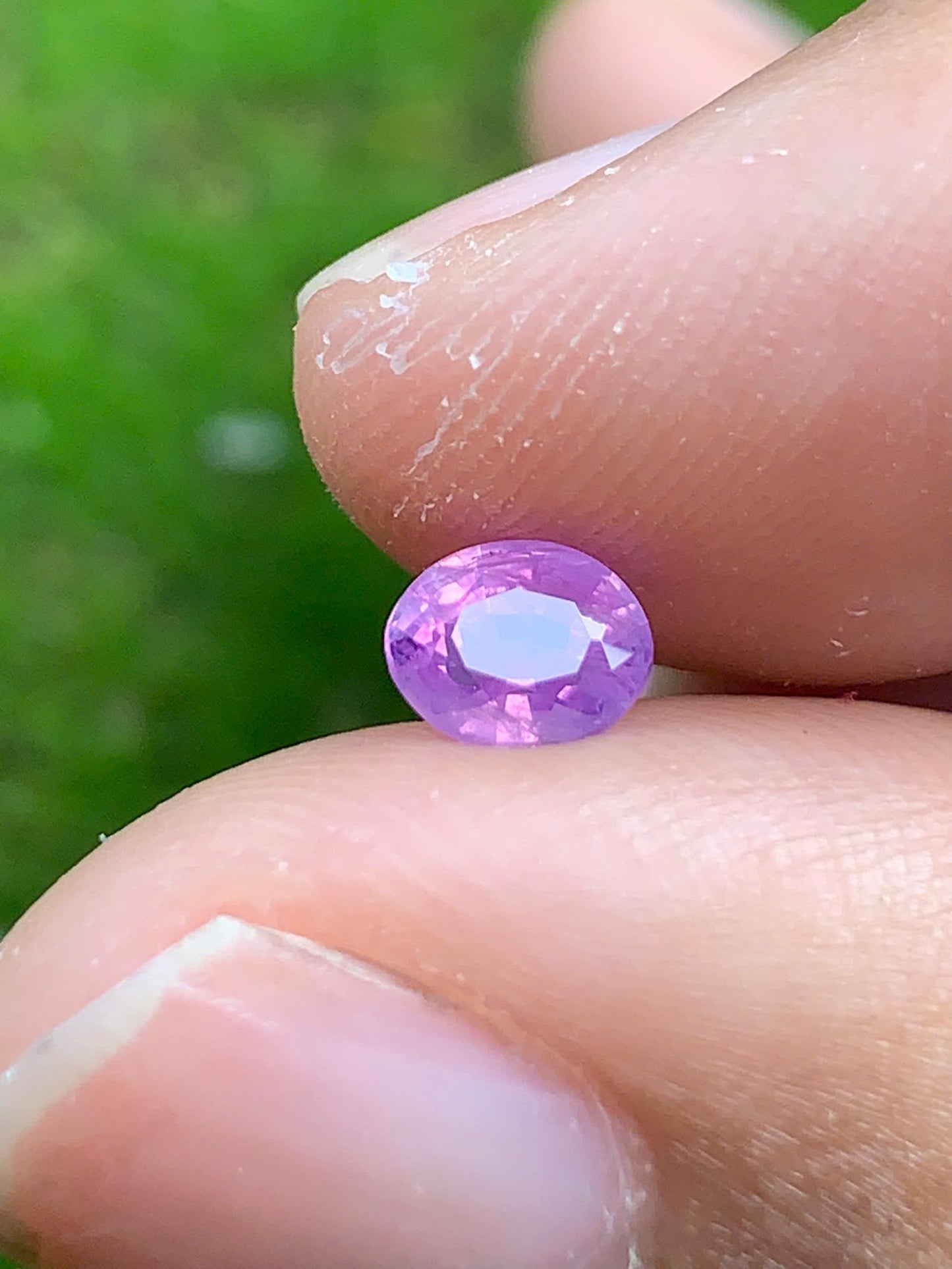 Natural Sapphire VietNam 08082506