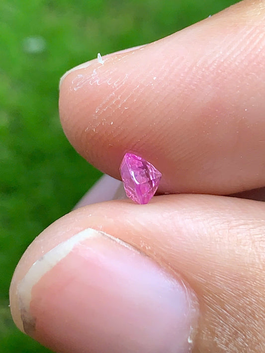 Natural Sapphire VietNam 080825019