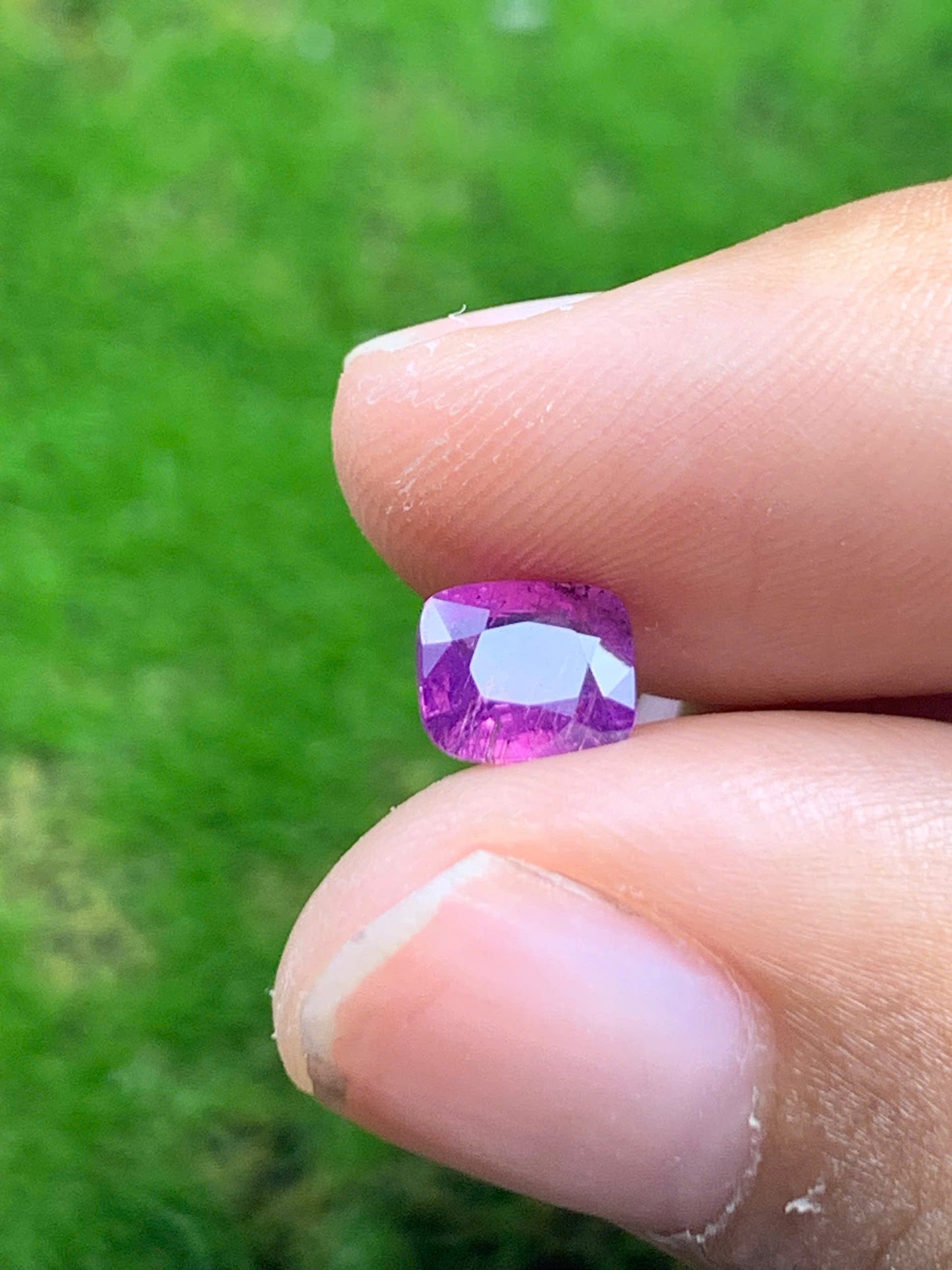 Natural sapphire VietNam 08082534