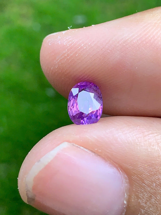 Natural sapphire VietNam 08082535