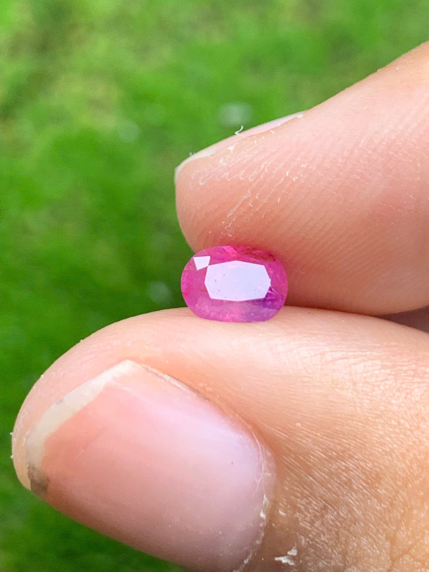 Natural sapphire VietNam 08082536