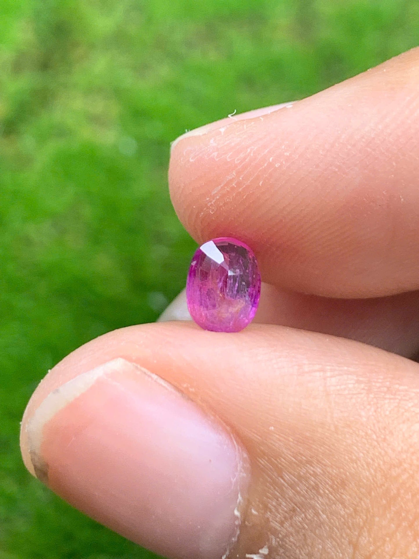 Natural sapphire VietNam 08082536