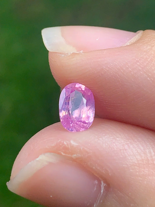 Natural Sapphire VietNam 14082530