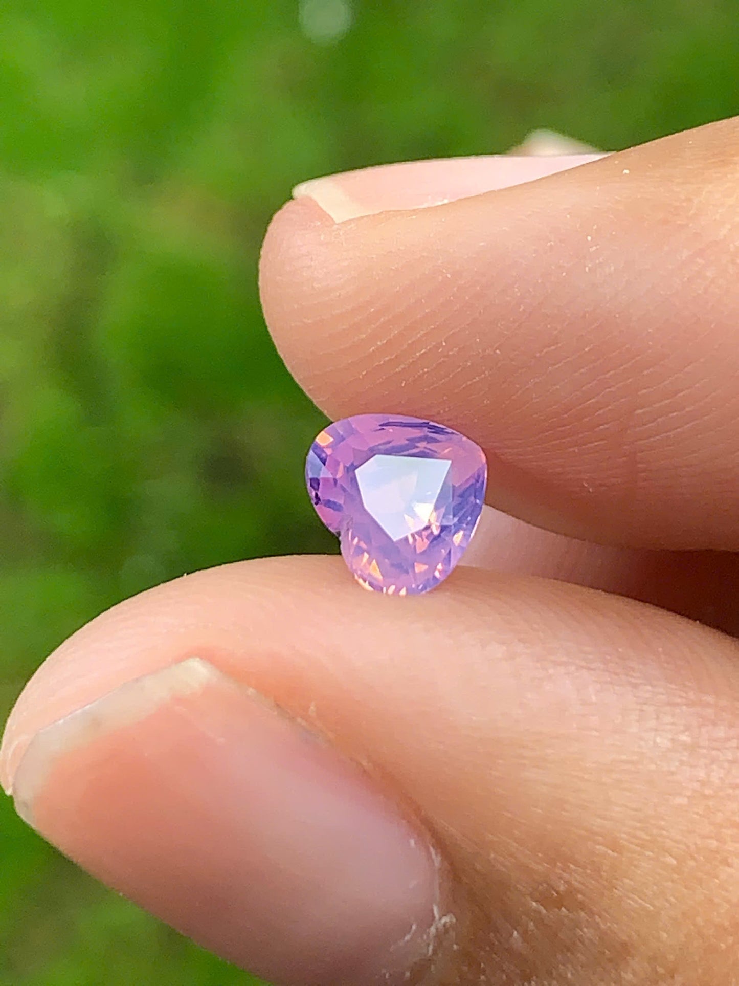Silky Sapphire VietNam 18082507