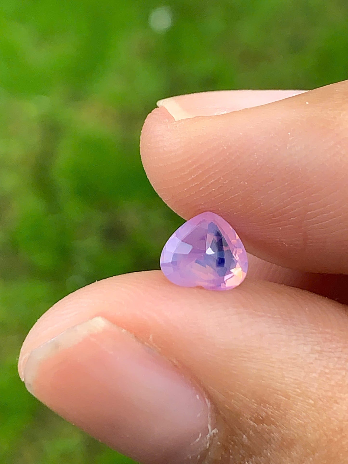 Silky Sapphire VietNam 18082507