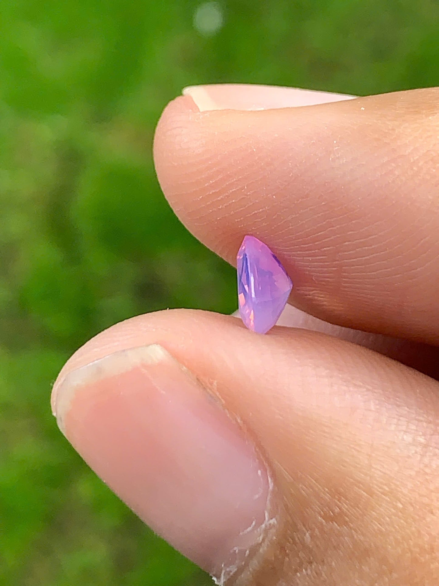 Silky Sapphire VietNam 18082507