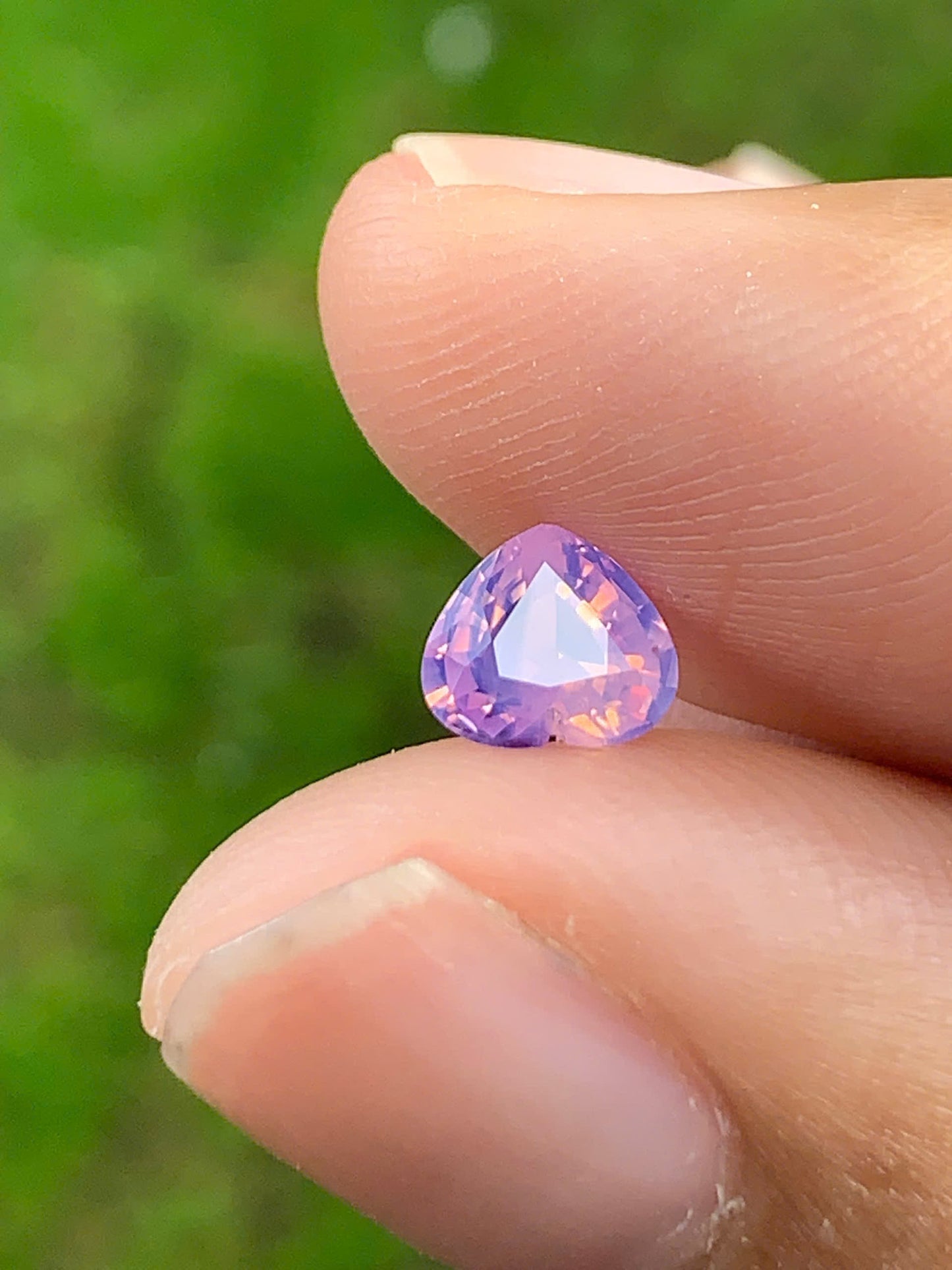 Silky Sapphire VietNam 18082507