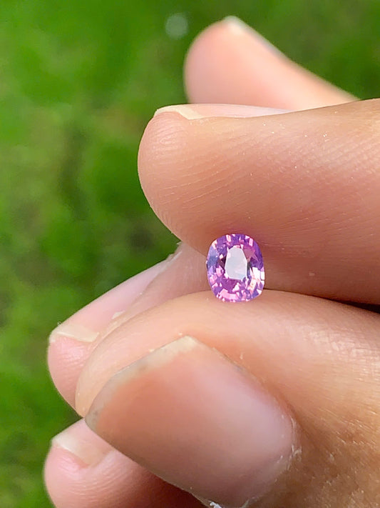 Silky Sapphire VietNam 18082508