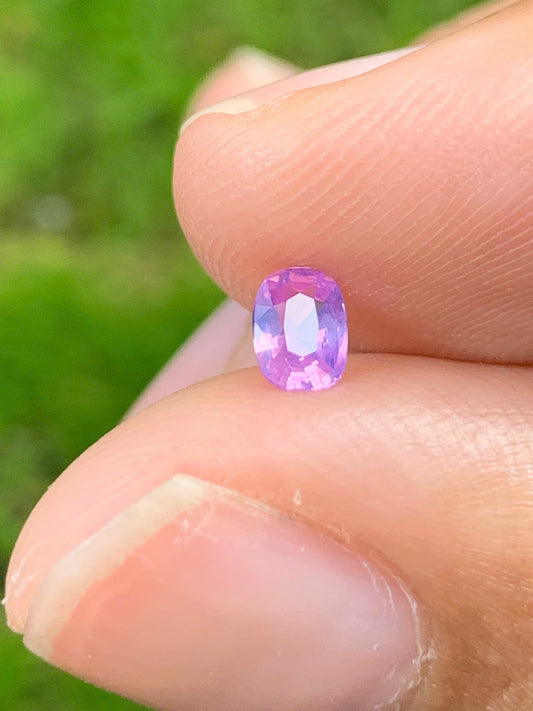 Natural Sapphire VietNam 19082517