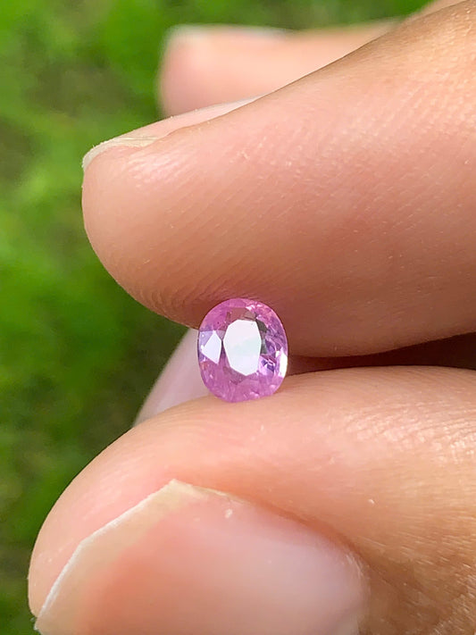 Natural Sapphire VietNam 26082502