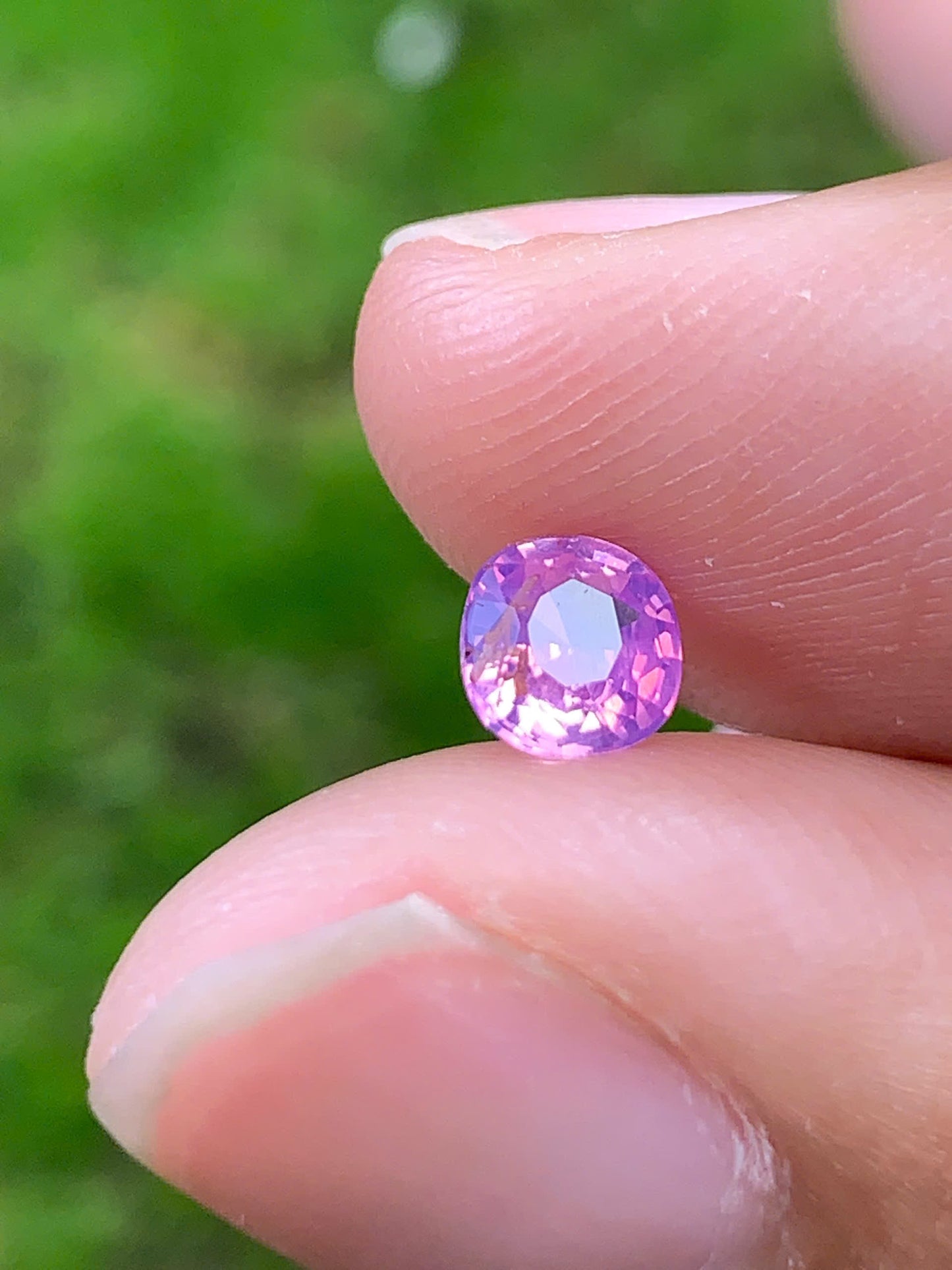 Natural Sapphire VietNam 28082534