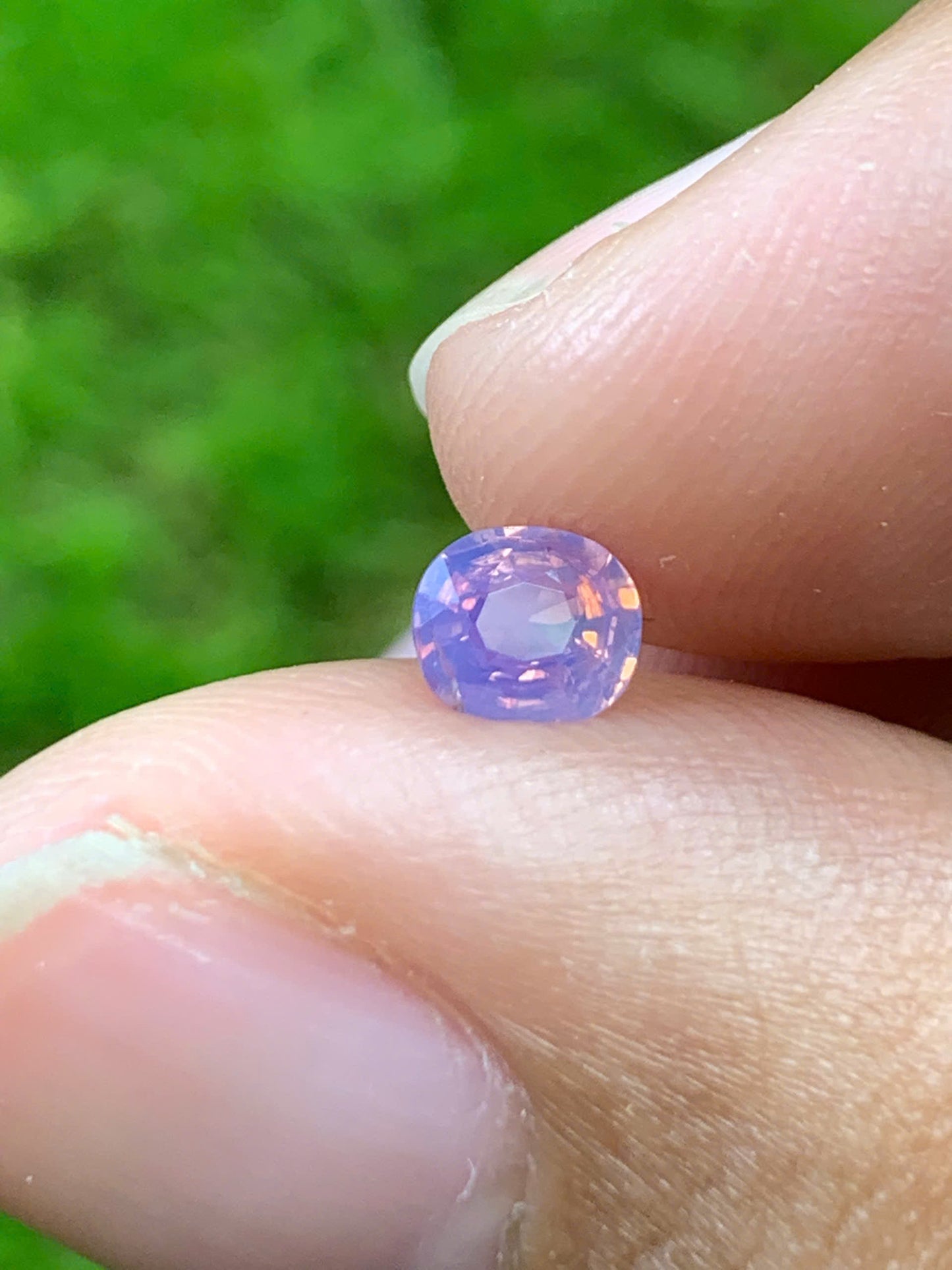 Natural Sapphire VietNam 30082505