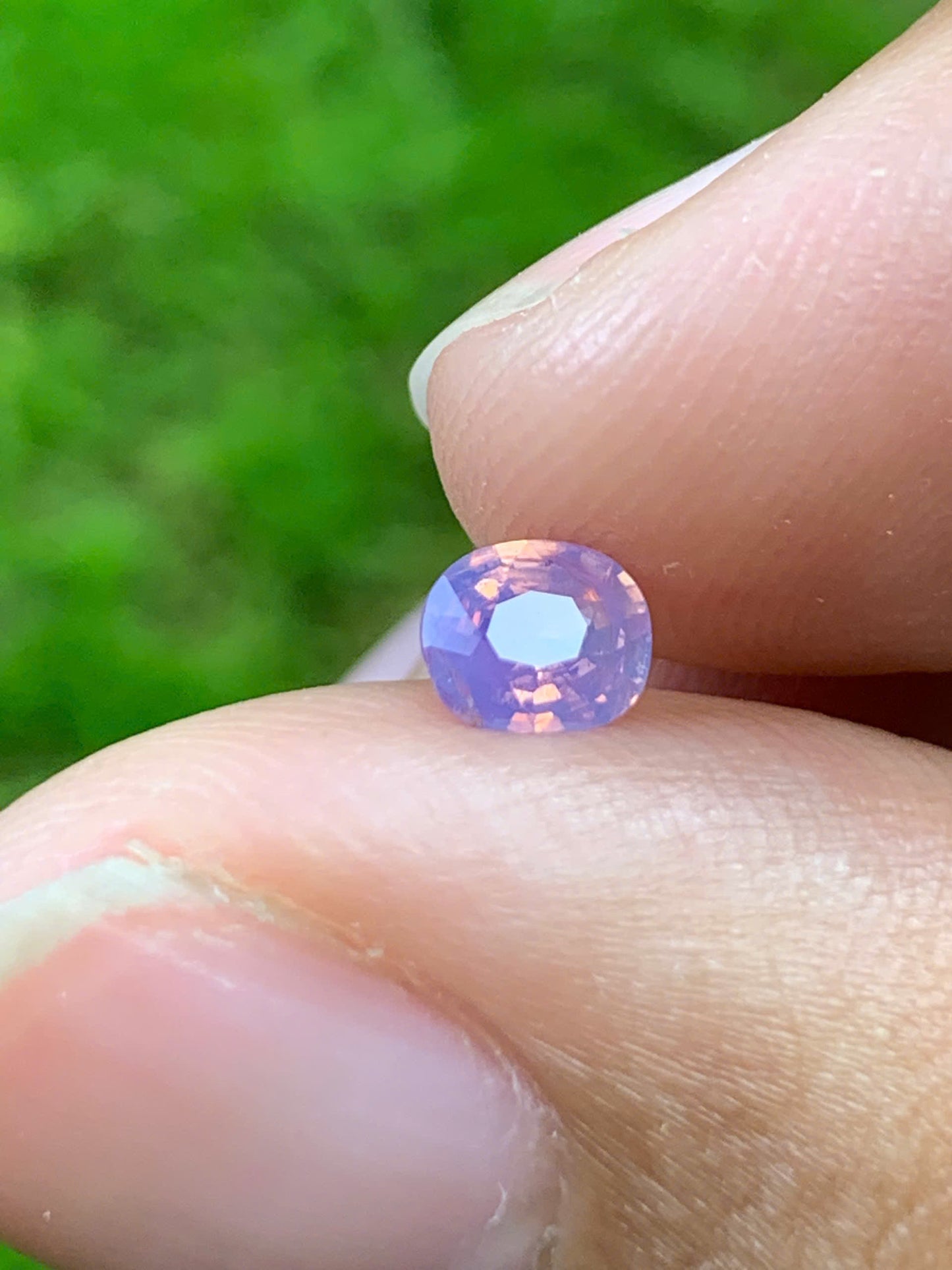 Natural Sapphire VietNam 30082505