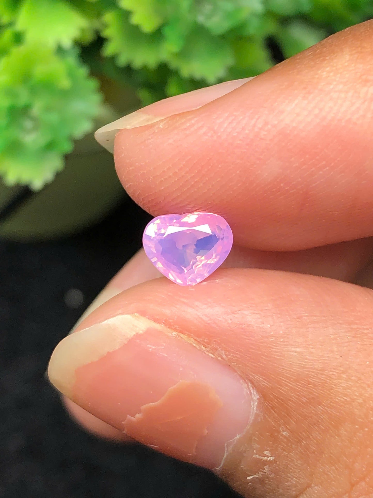 Pink silky sapphire LụcYên_06112506HA