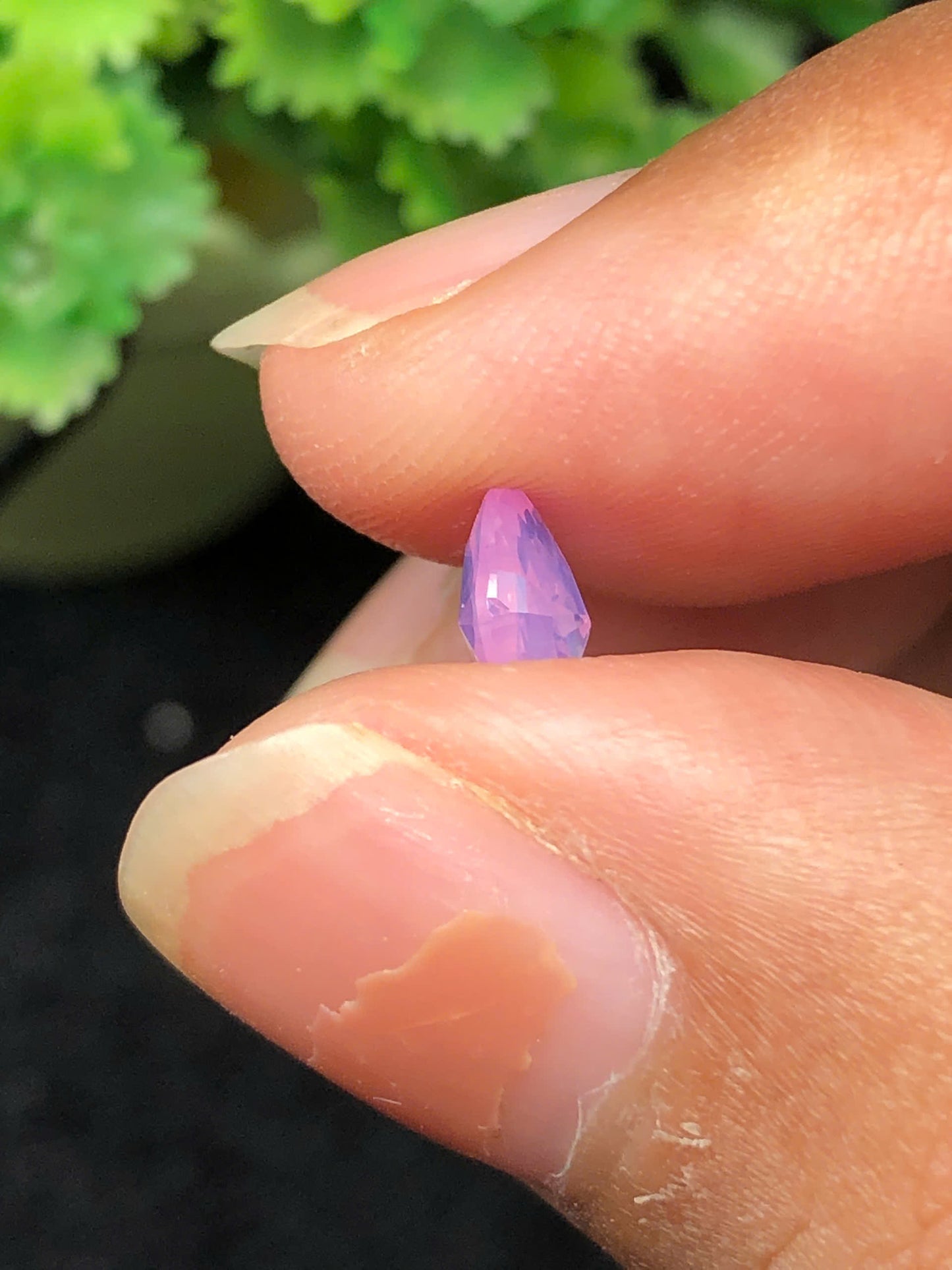 Pink silky sapphire LụcYên_06112506HA