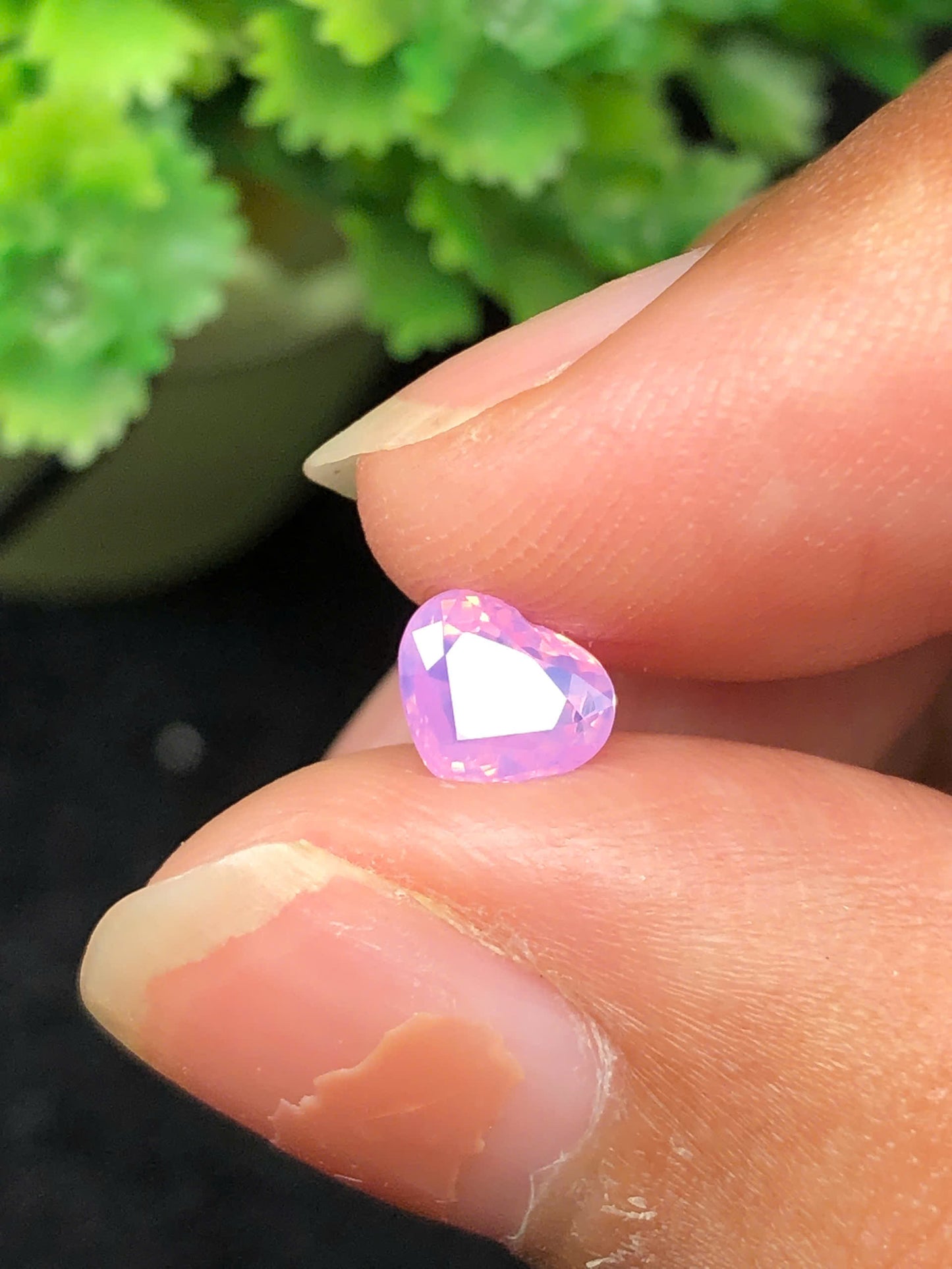 Pink silky sapphire LụcYên_06112506HA