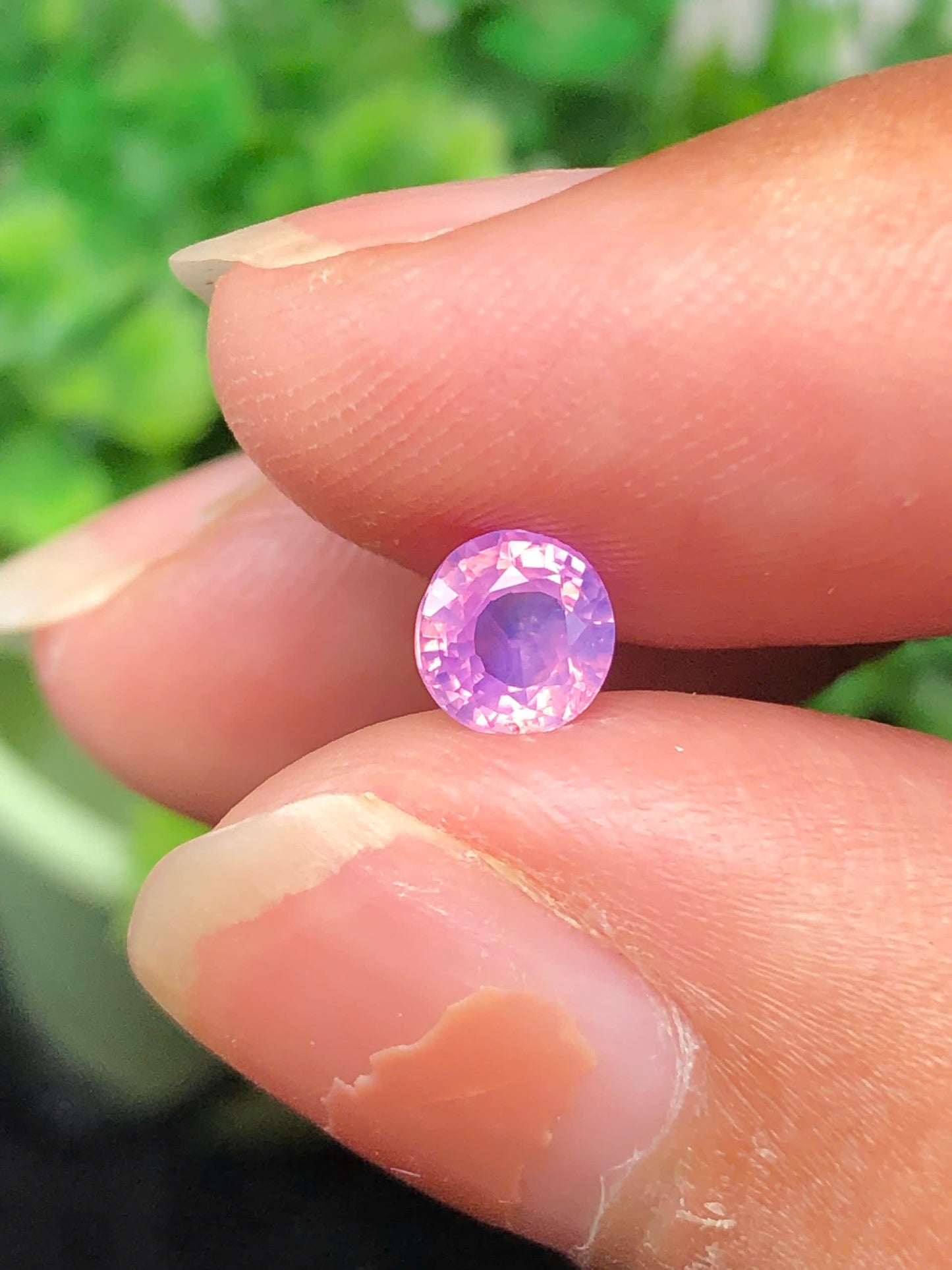 Pink silky sapphire LụcYên_06112507Ha