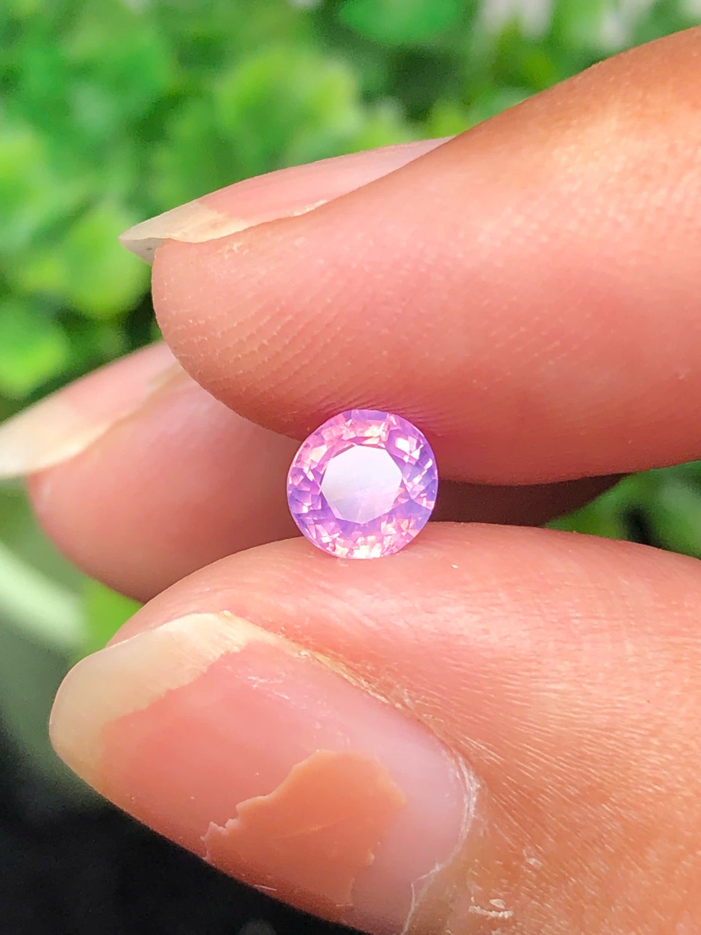 Pink silky sapphire LụcYên_06112507Ha