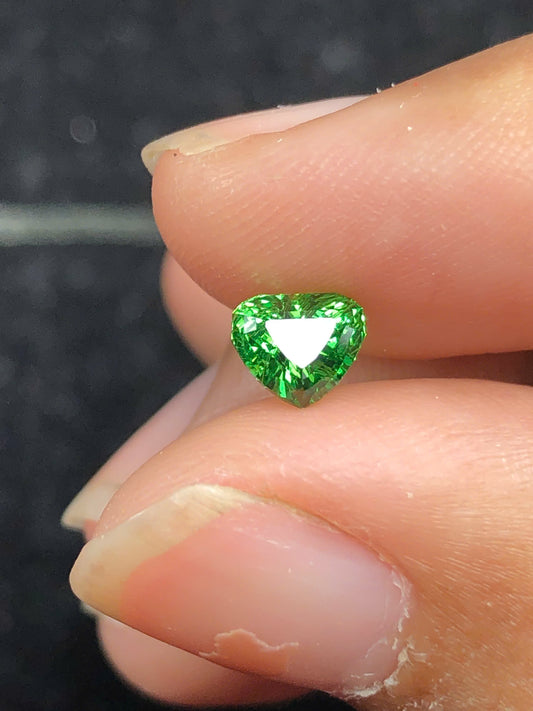 Tsavosite Garnet 0.86ct _17112507