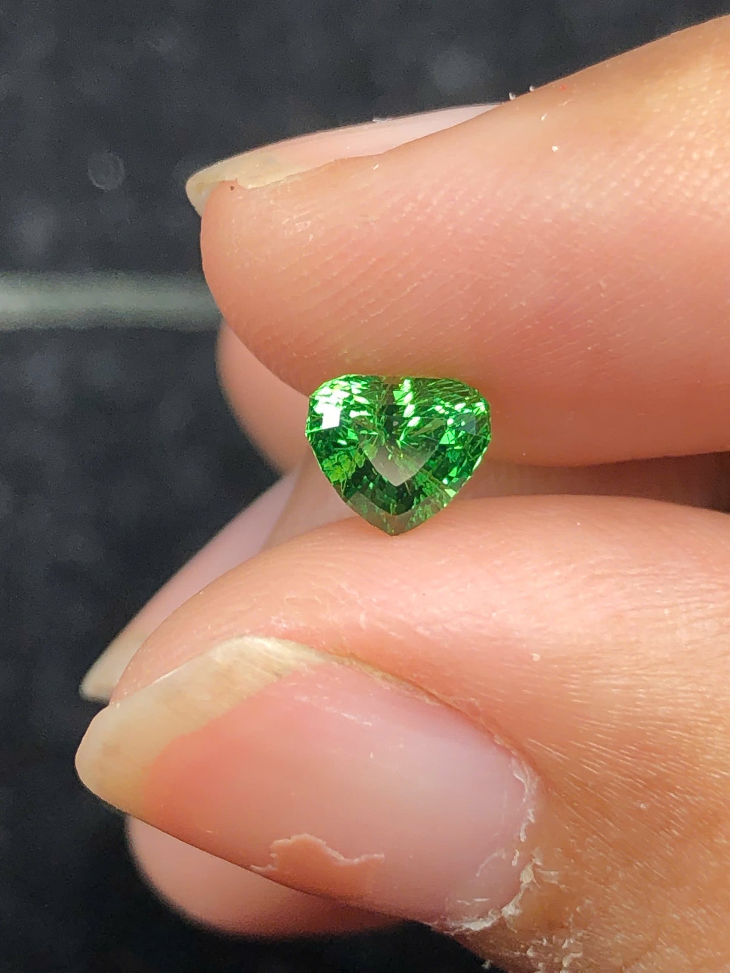 Tsavosite Garnet 0.86ct _17112507