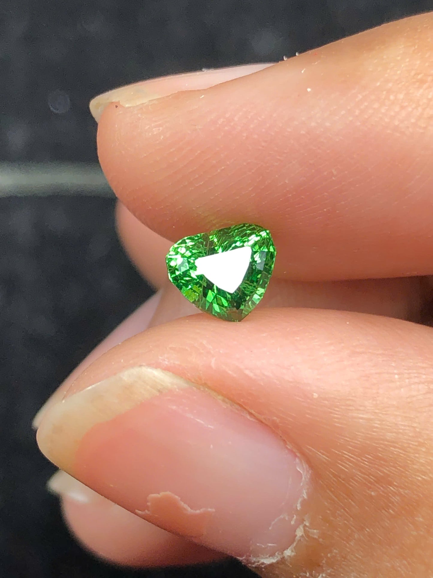 Tsavosite Garnet 0.86ct _17112507