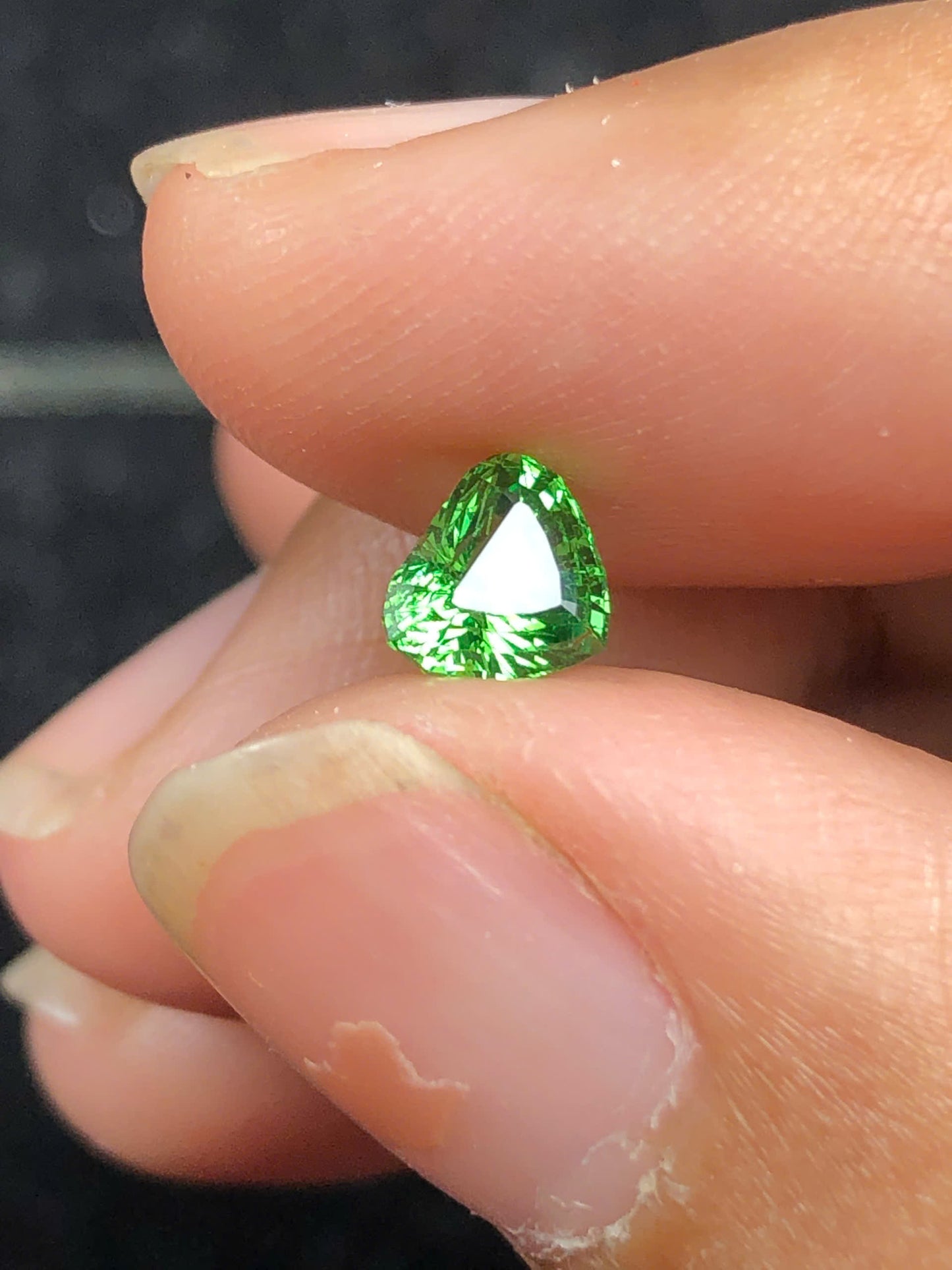 Tsavosite Garnet 0.86ct _17112507