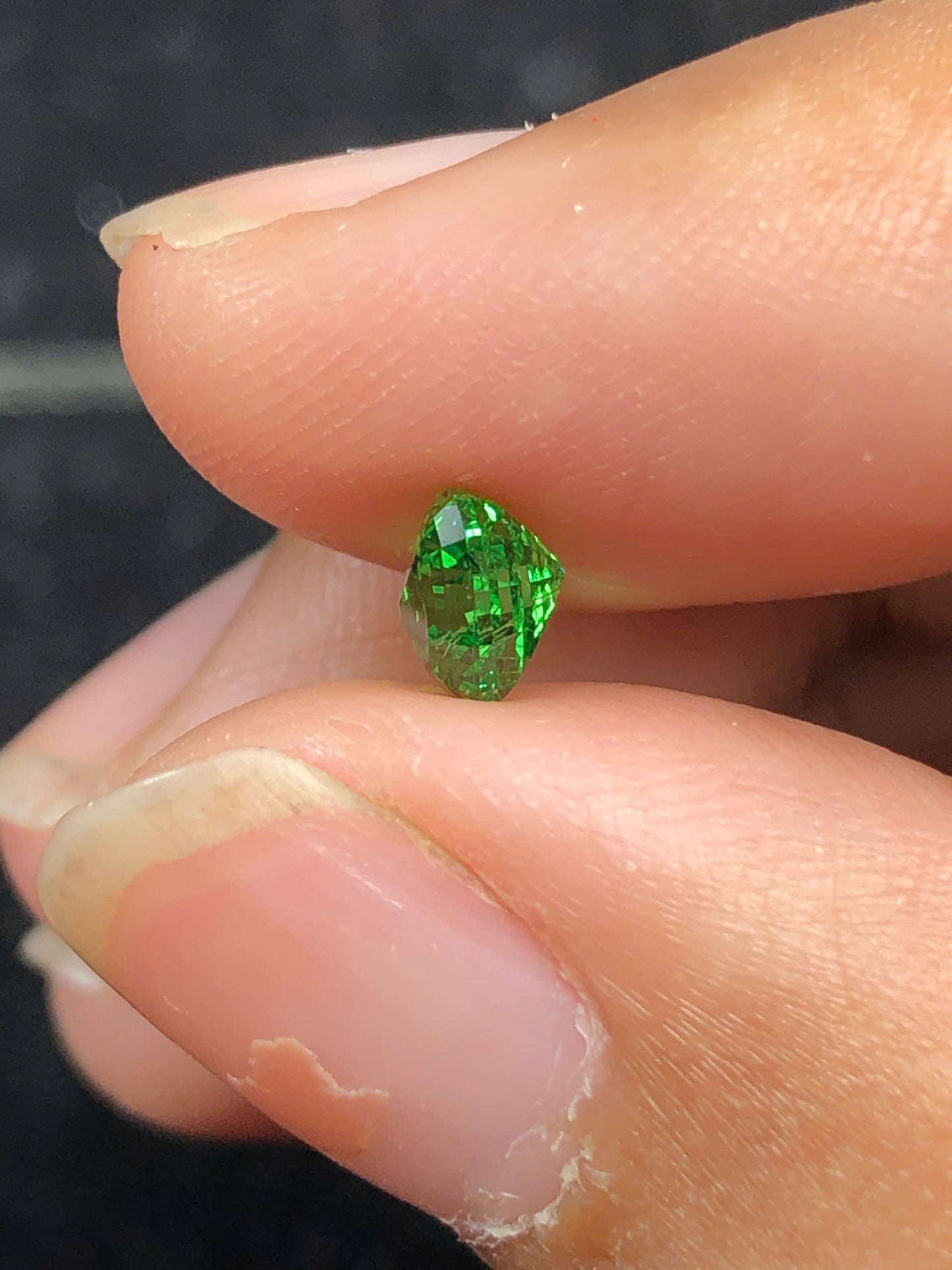 Tsavosite Garnet 0.86ct _17112507