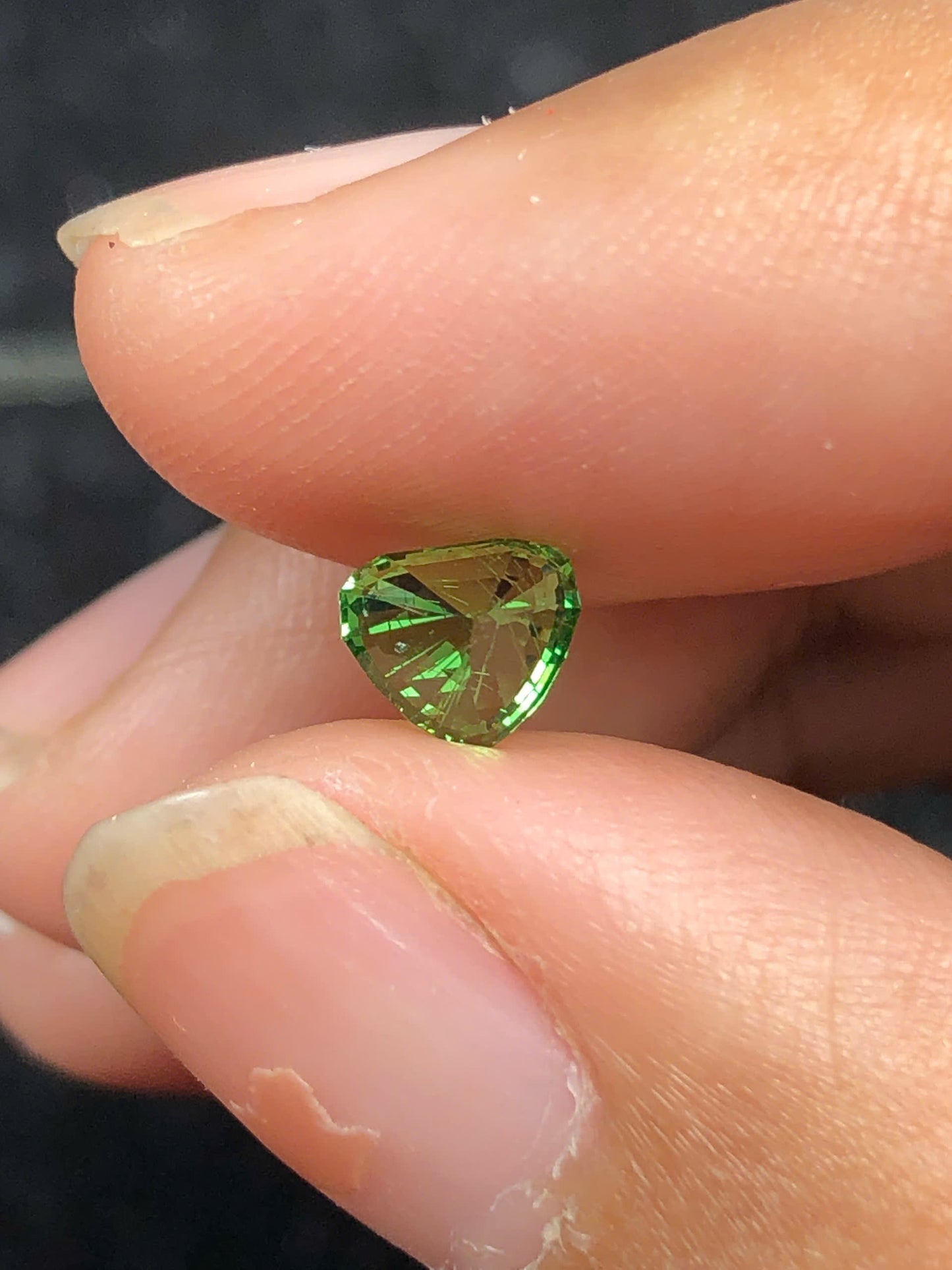 Tsavosite Garnet 0.86ct _17112507