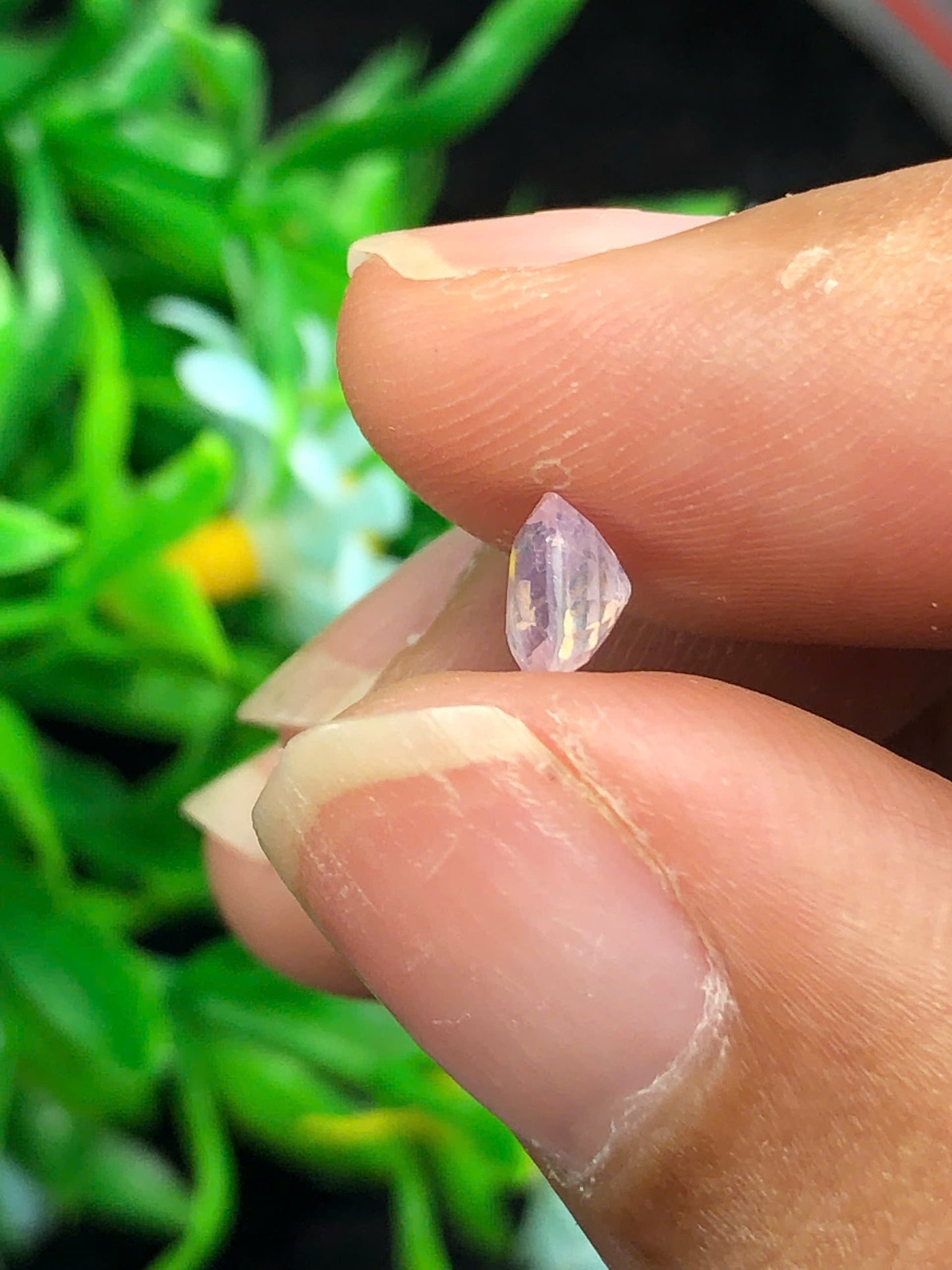 Natural silky Sapphire LucYen _ 15122514