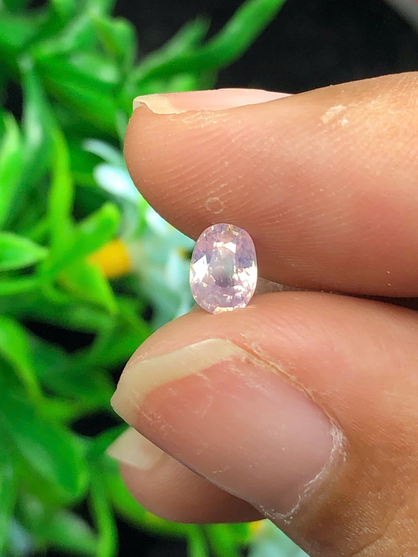 Natural silky Sapphire LucYen _ 15122514