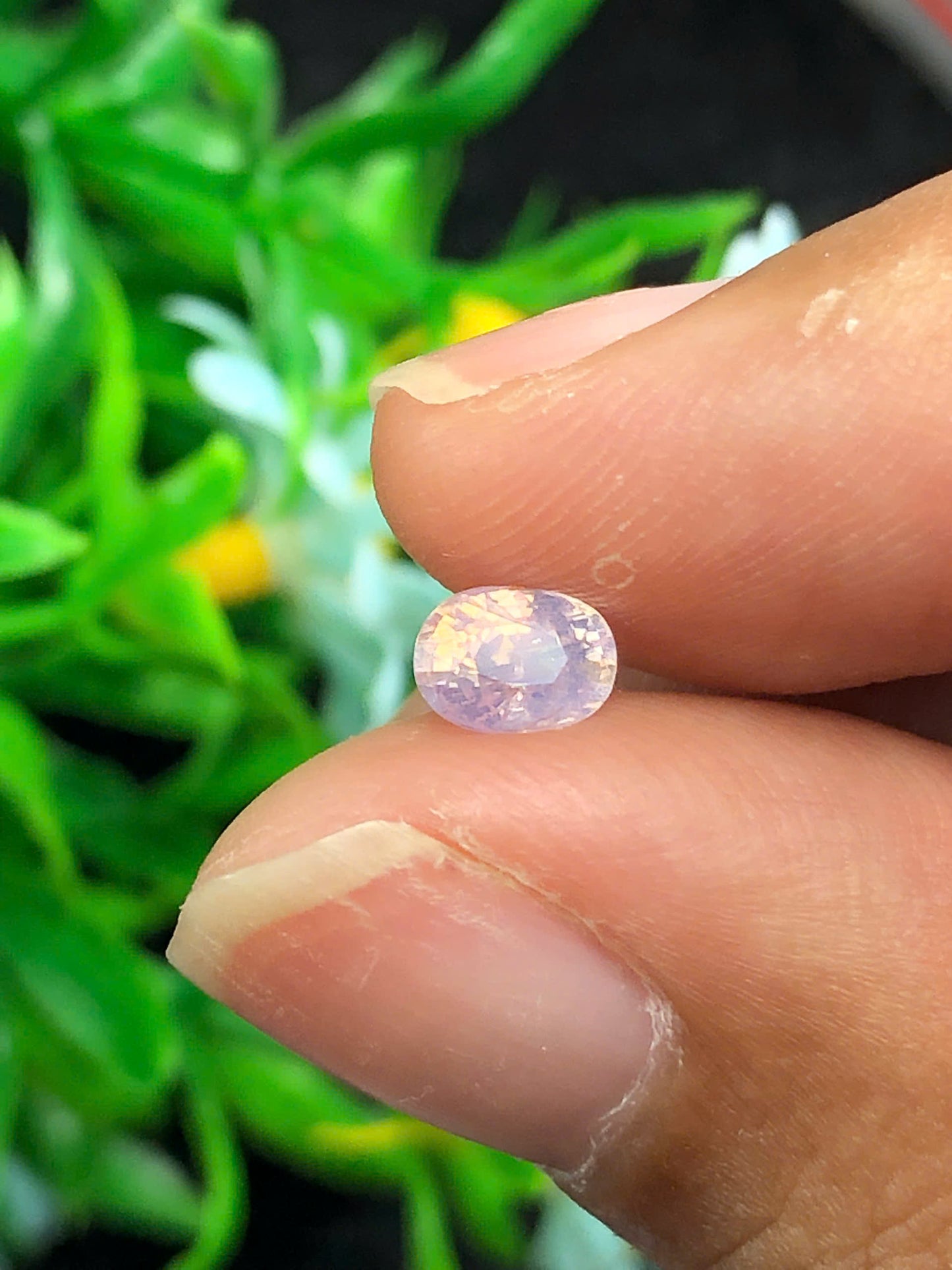 Natural silky Sapphire LucYen _ 15122514