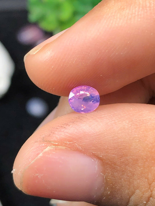 Pink silky sapphire LụcYên_ 01072509