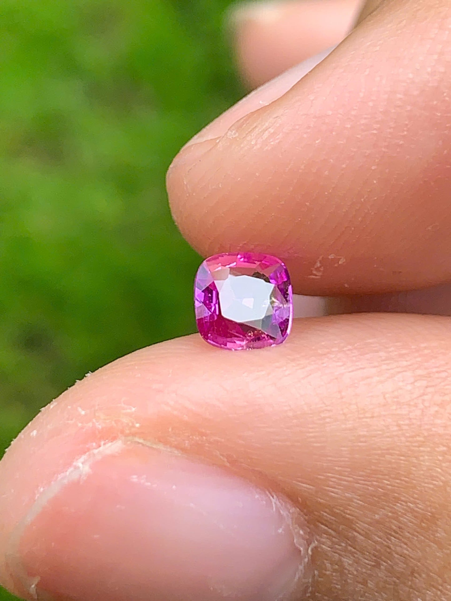 Hot pink Sapphire LucYen _ 12072526