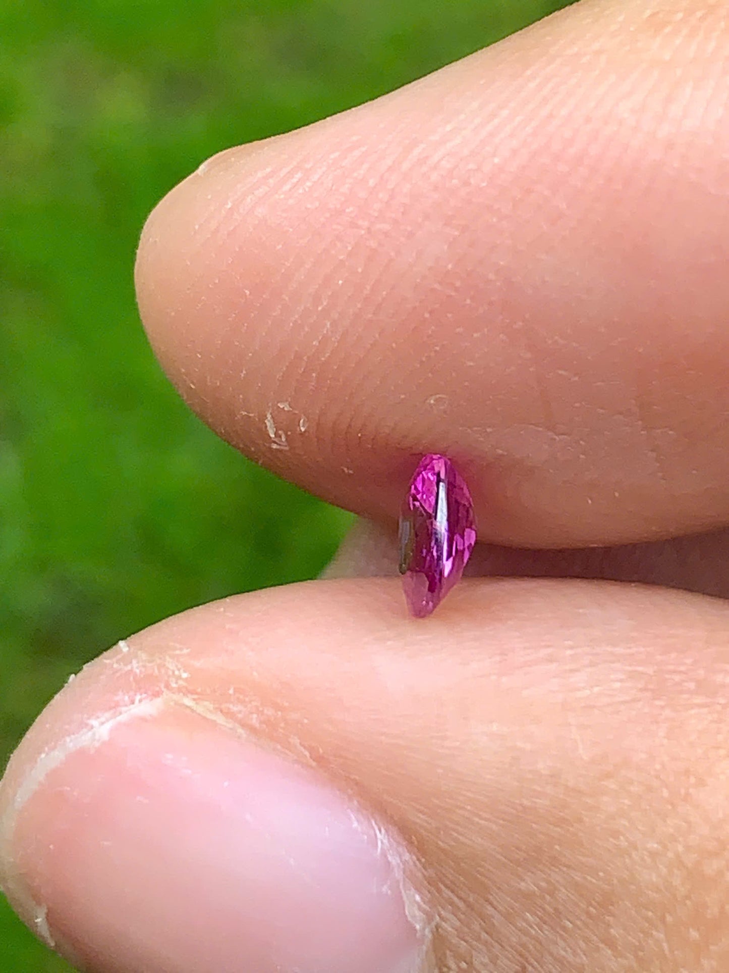 Hot pink Sapphire LucYen _ 12072526