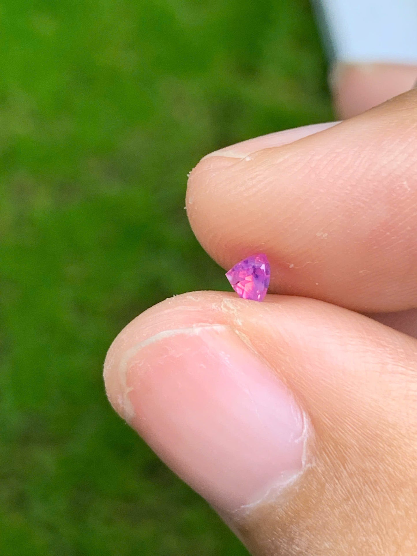 Pink Sapphire LucYen _ 13072518