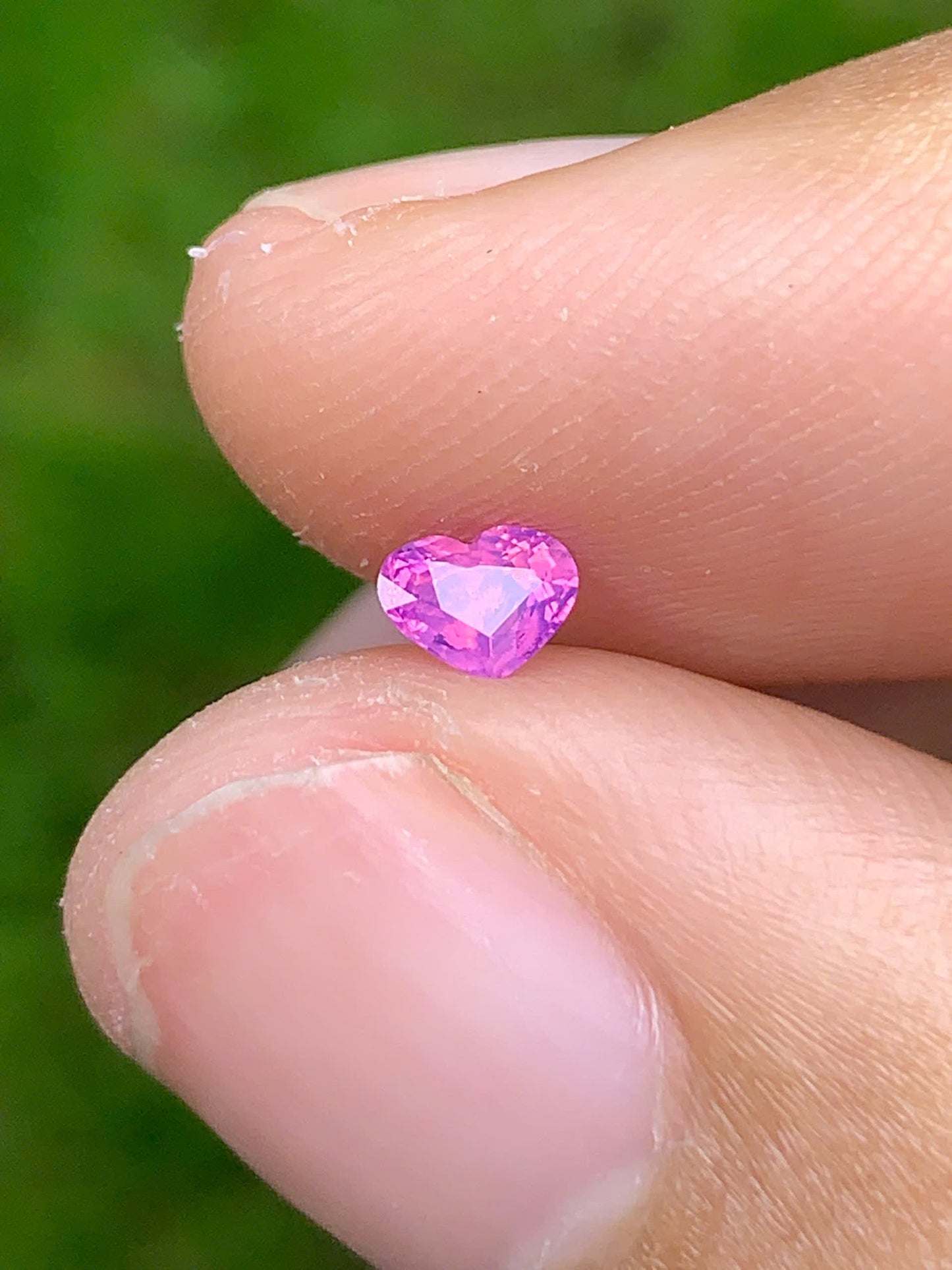 Pink Sapphire LucYen _ 13072518