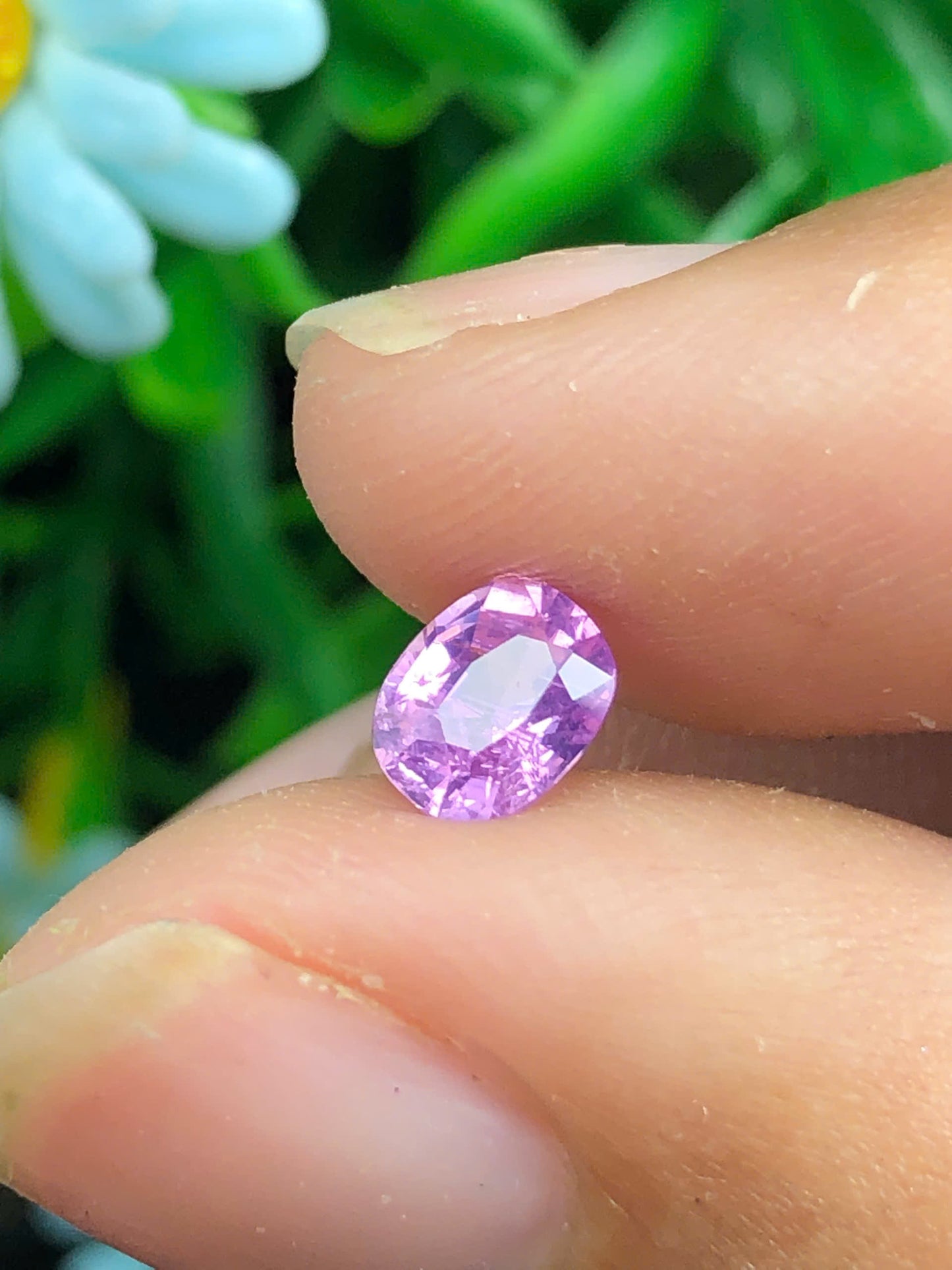 Purplish Pink Sapphire _ 06072502