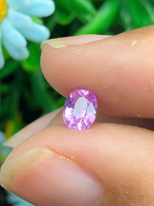 Purplish Pink Sapphire _ 06072502