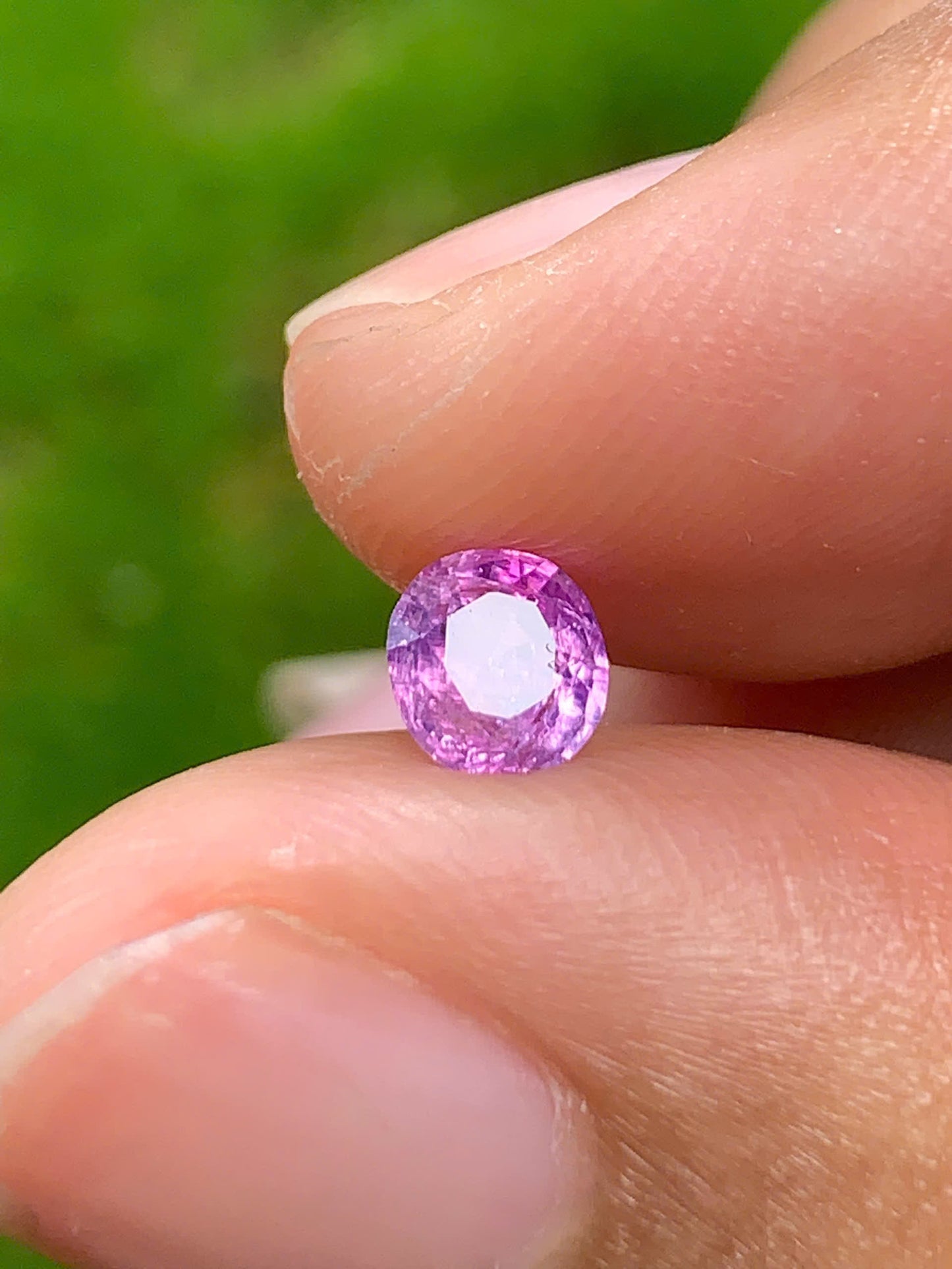 Purplish Pink Sapphire _ 24072503
