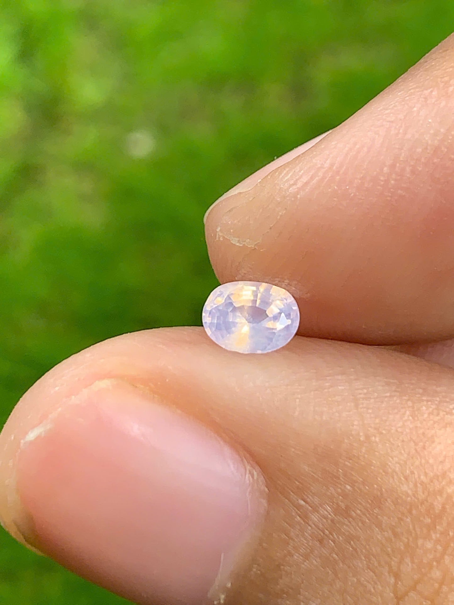 Natural silky Sapphire _ 25072506