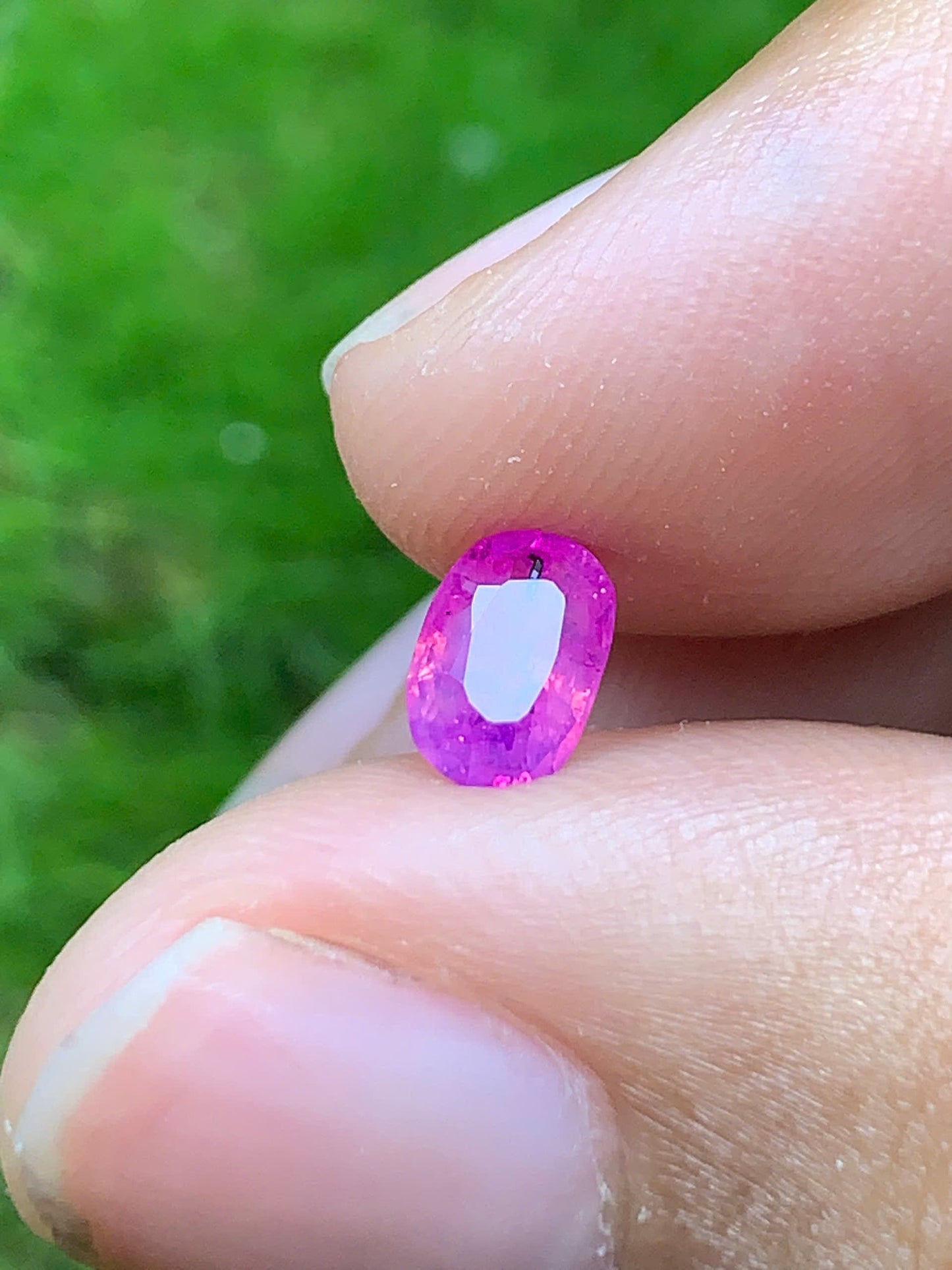 Hot Pink Sapphire _ 09082517