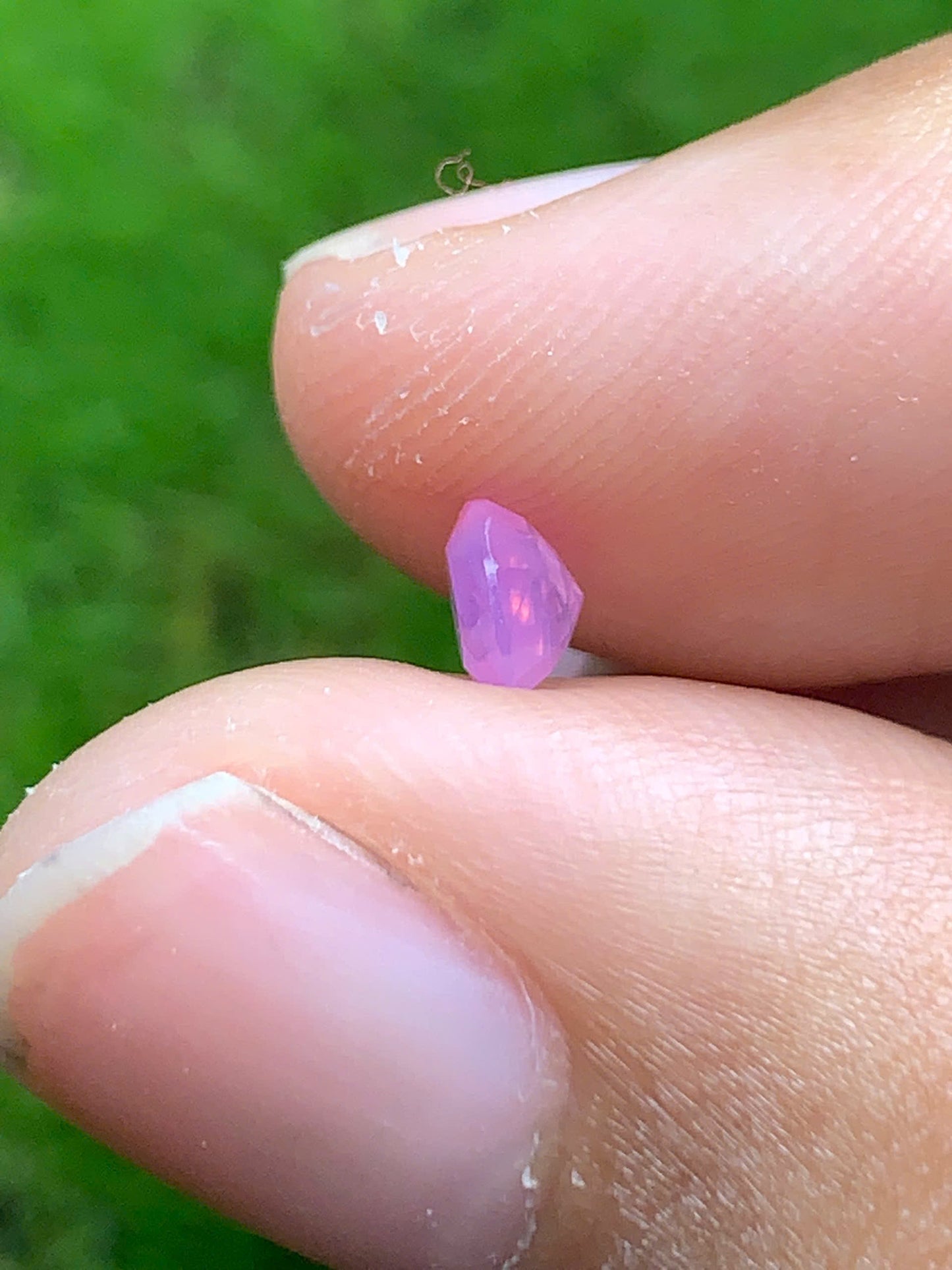 Natural pink sapphire _ 08082515