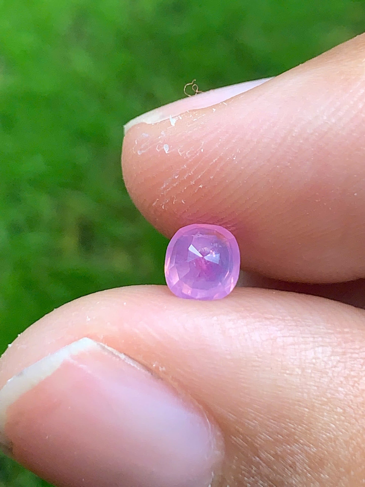 Natural pink sapphire _ 08082515